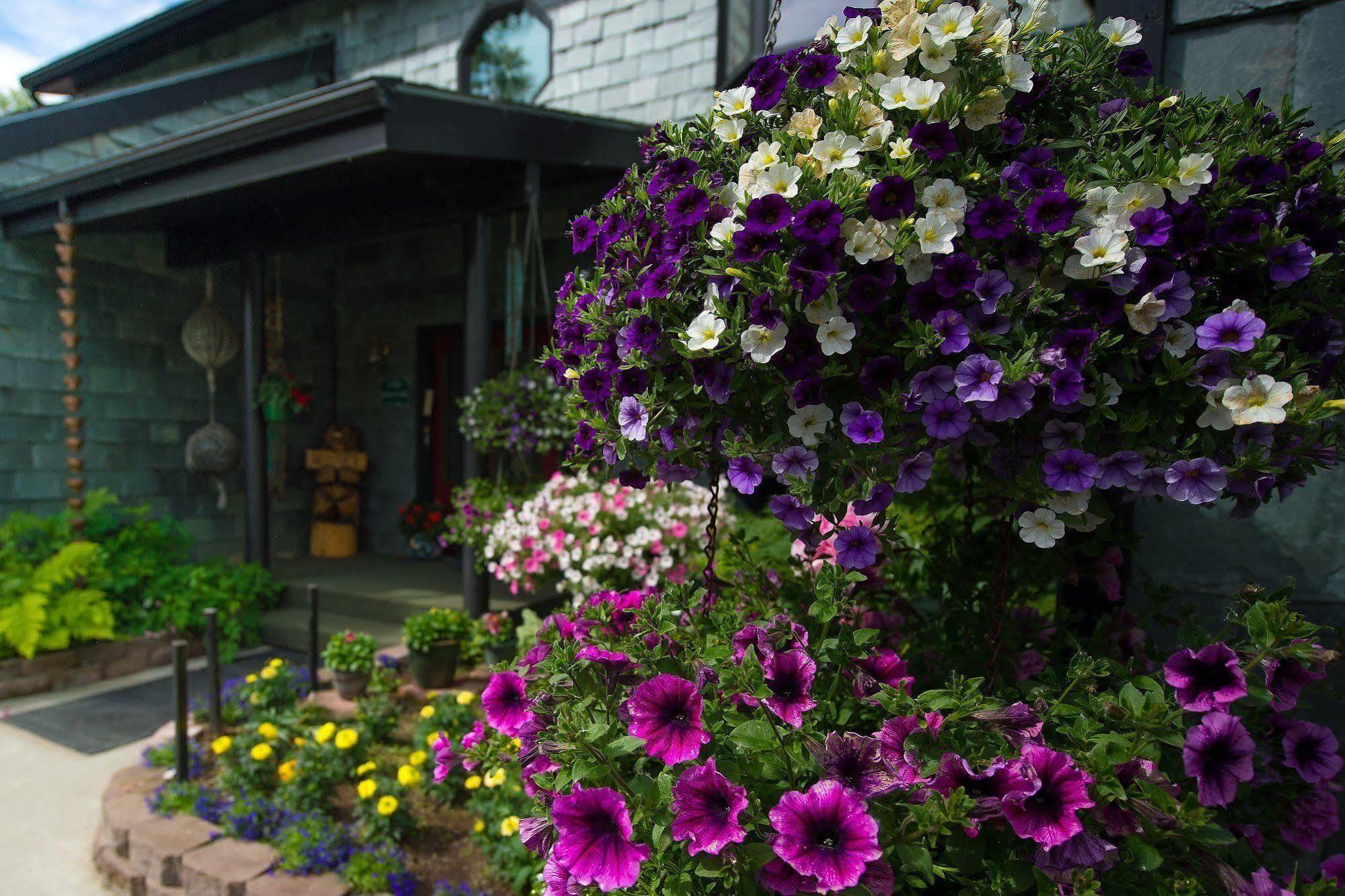 Alaska House Of Jade Bed And Breakfast Анкъридж Екстериор снимка